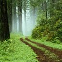 Joy McDowell - @Joy_Fashonista - Twitter