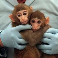 Animalusa (@animilusa) 's Twitter Profile