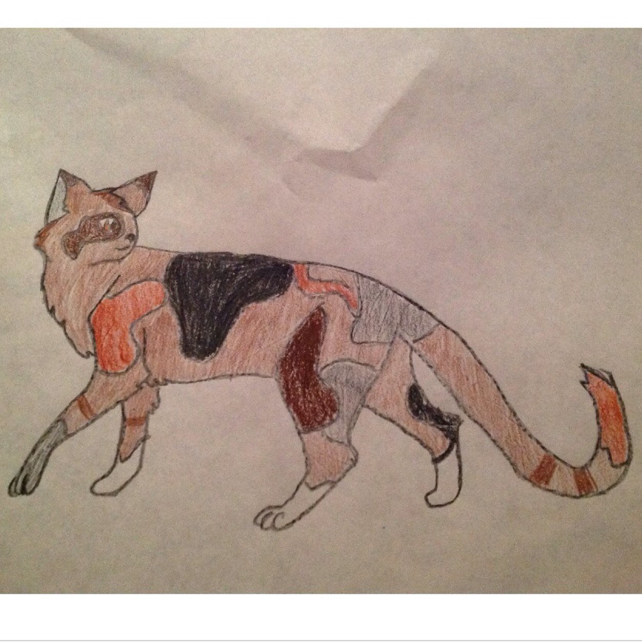 SpottedOak's profile picture. I am SpottedOak A SkyClan Warrior. Mate - @MagicPianoX Kits - OakKit , SpottedKit and FlameKit