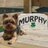 Murphy Pet Health