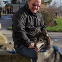 k9dogwalker(@k9dogwalker1) 's Twitter Profile Photo