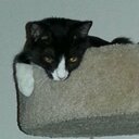 Mark Hilbert - @hilbert_mark - Twitter