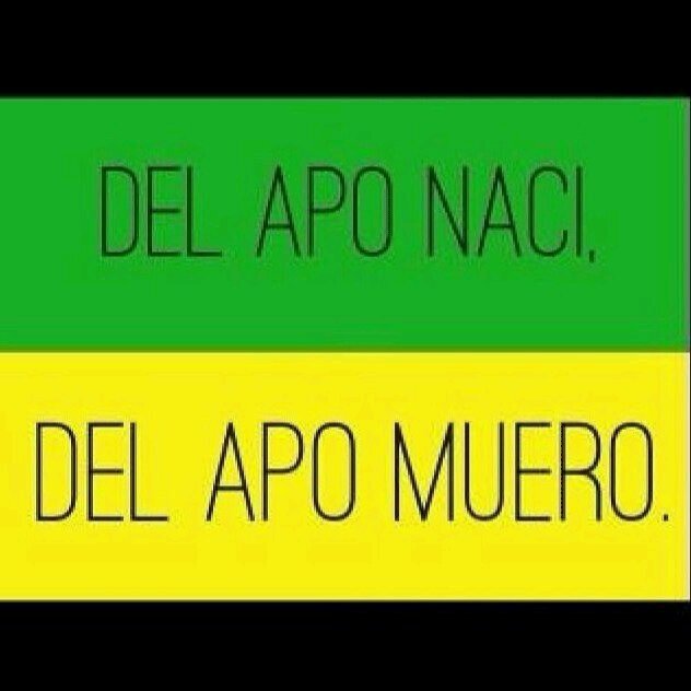 Chileno, Hincha Cruzado
