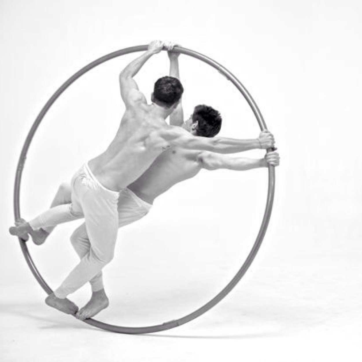 Grazingthesky1's profile picture. A film about the passion and drive behind circus artists that truly captures the extraordinary acts circus performers coax from their ordinary life.