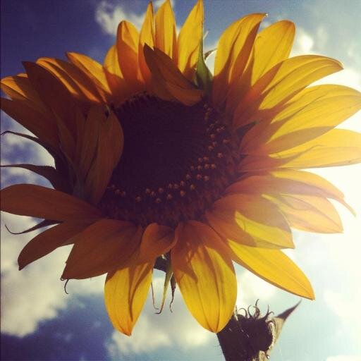 jonnaftw's profile picture. Facilities Coordinator RadioShack  Corporate Office