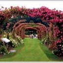 Alicia Hey - @heyaliciam - Twitter