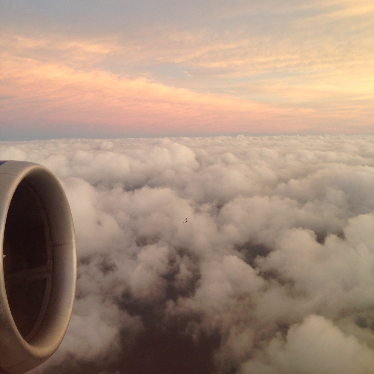 james_depalma's profile picture. Leading Grant Thornton’s Procurement Advisory Services