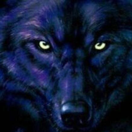 Navin2678's profile picture. 