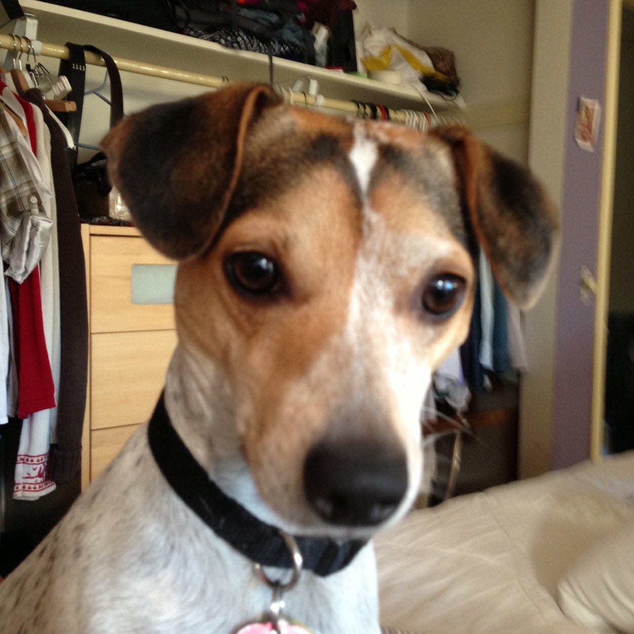 BarbaraMoen's profile picture. 