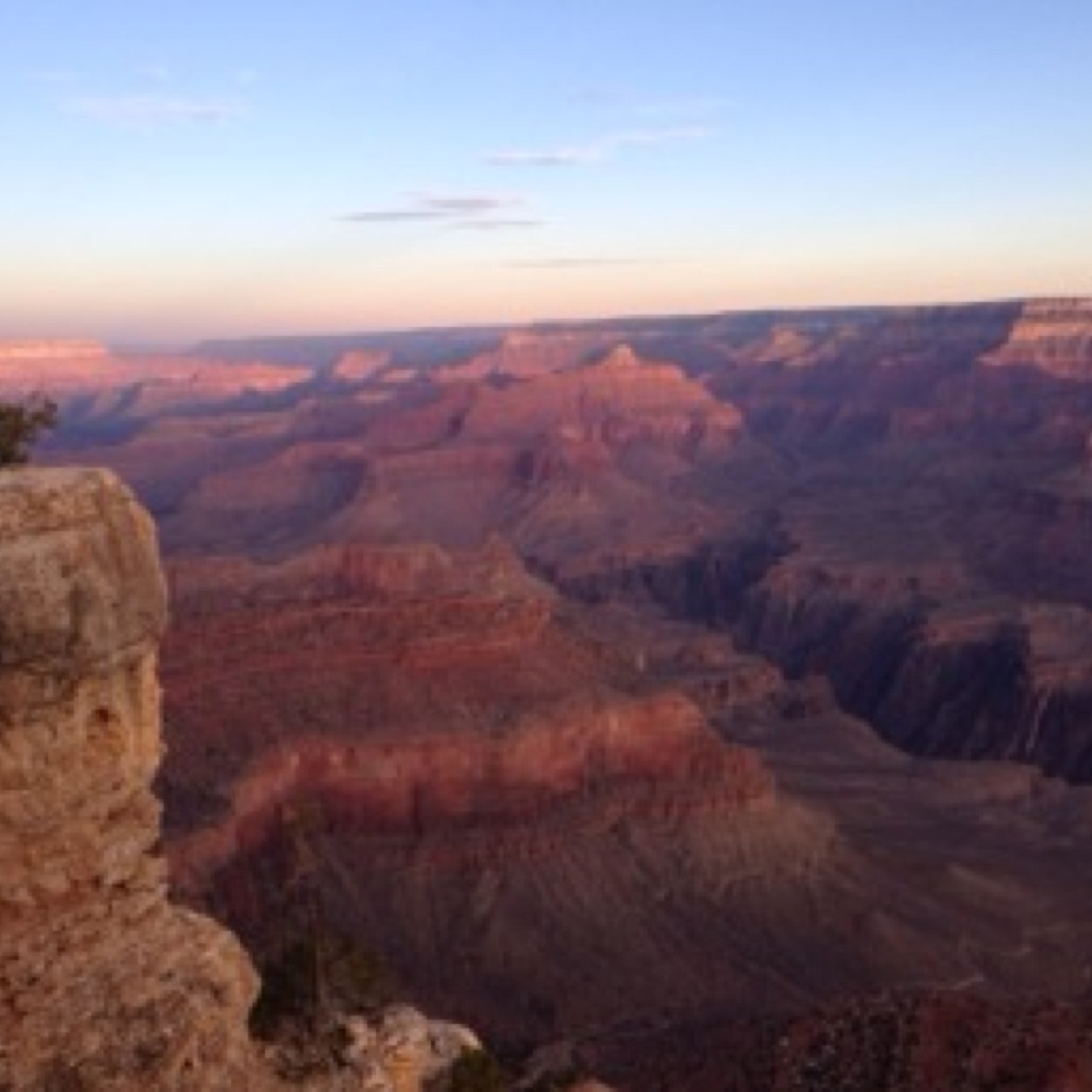 schubylax's profile picture. 