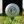 F3 Golf (@F3Golf) profile picture
