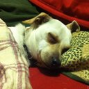 Heidi Choy - @HChoy - Twitter