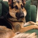 Eileen Peebles - @EileenPeeb - Twitter