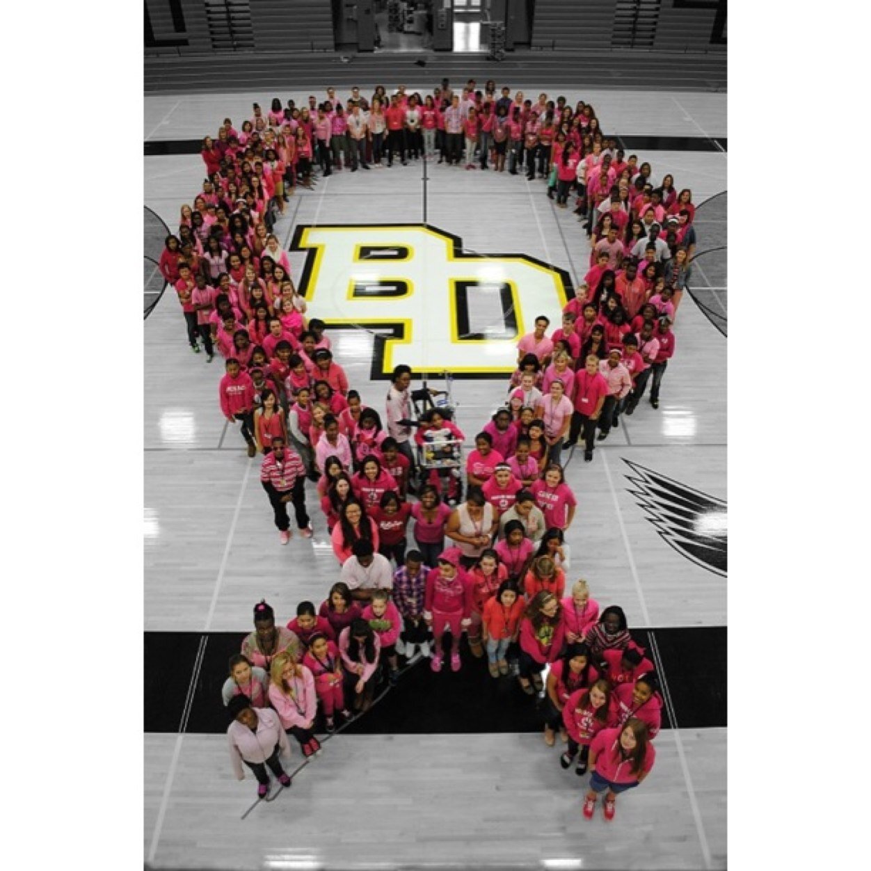 BDCompliments_'s profile picture. DM any compliements you have! :) (@ name optional) Always anonymous unless otherwise specified. #FalconPride