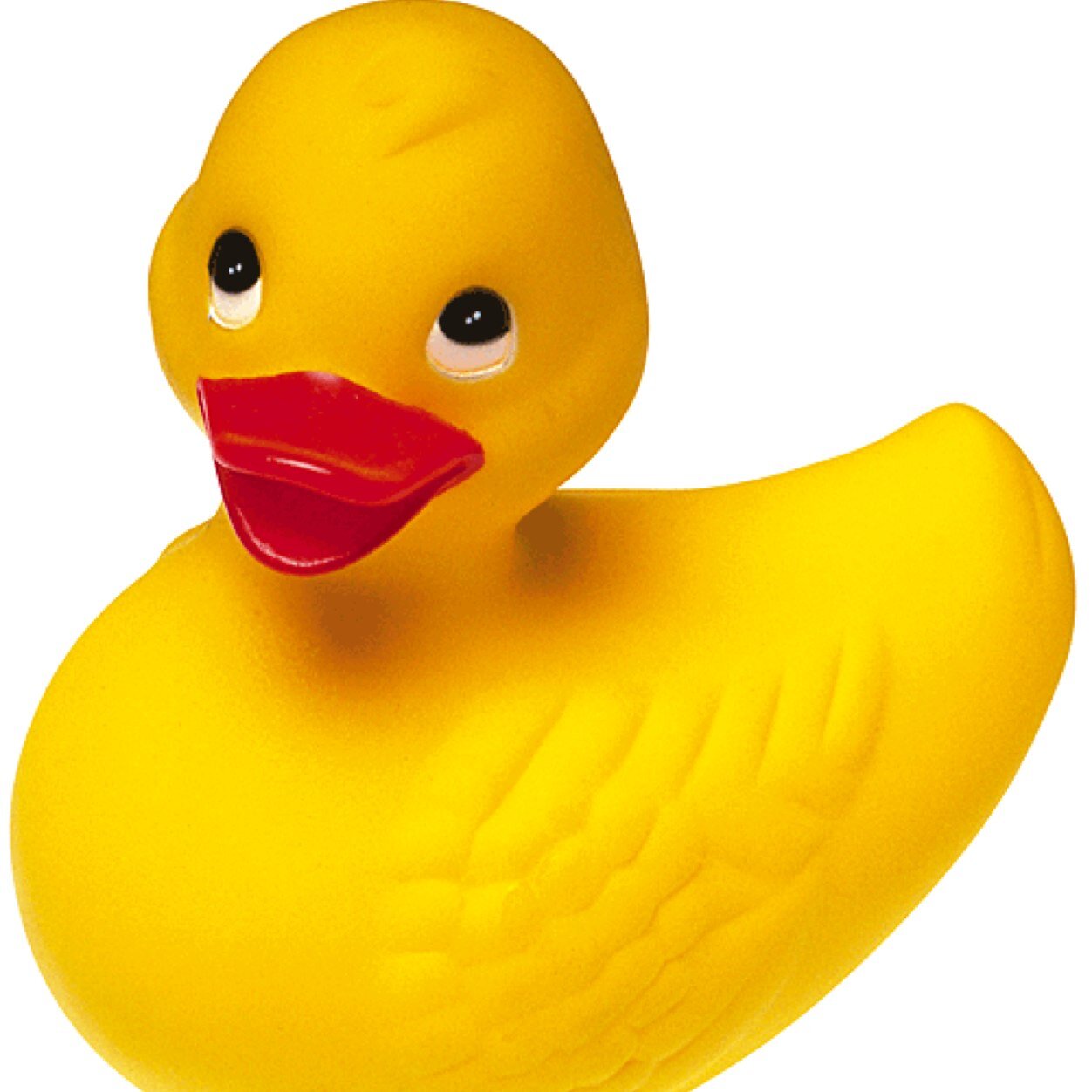 duck_harrys's profile picture. its an honor to be harrys duck. Quack