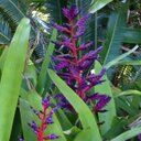 Isabel Phelps - @iphelpsm - Twitter