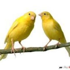 reoooomaaah's profile picture. يا حي يا قيوم برحمتك استغيث