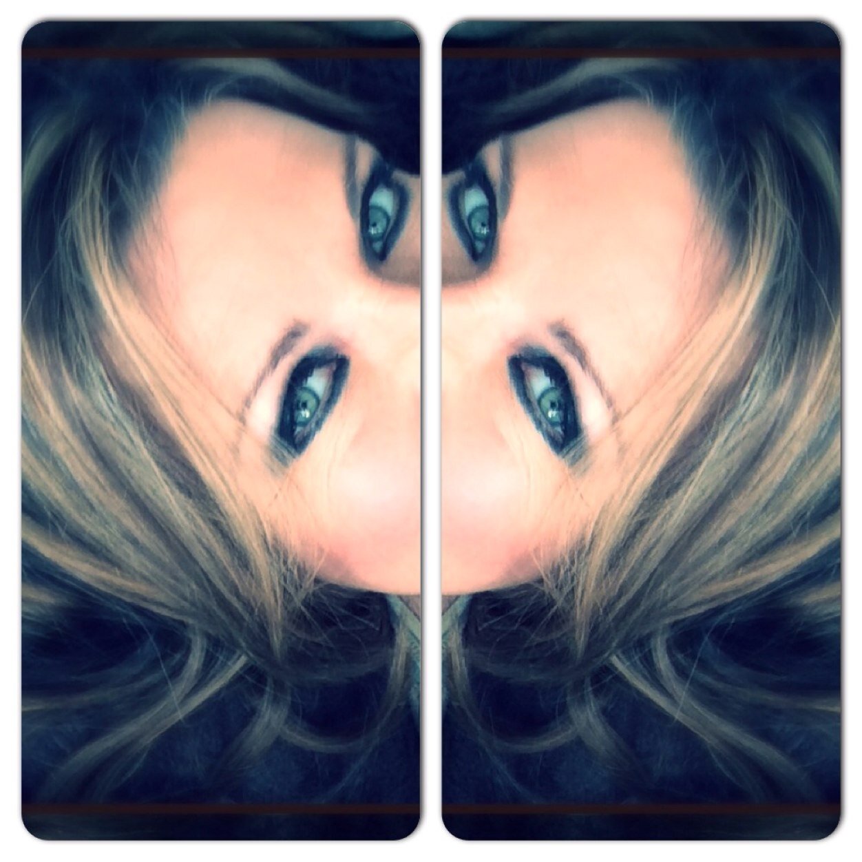 terrapin40509's profile picture. 