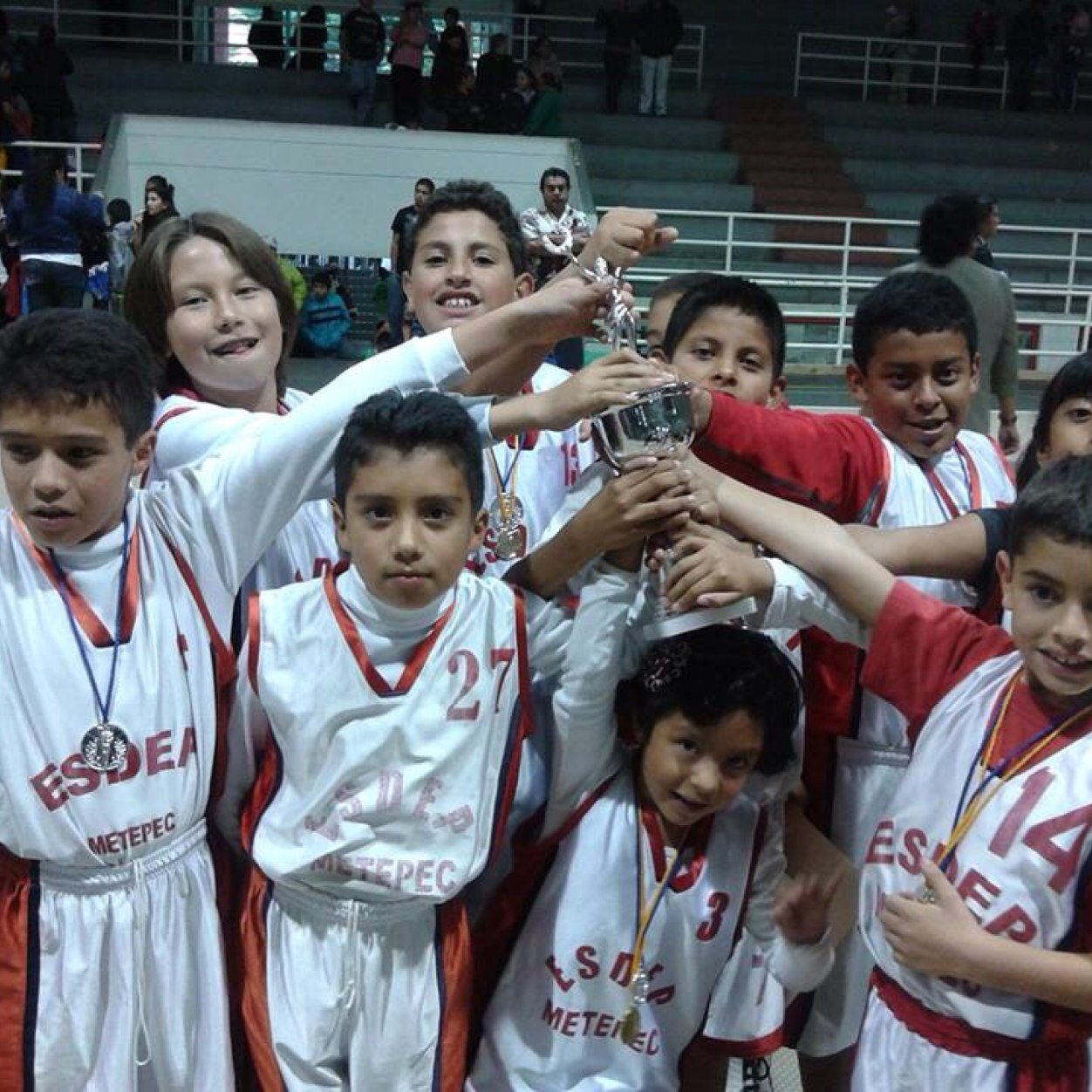 MaruBulls's profile picture. Bulls