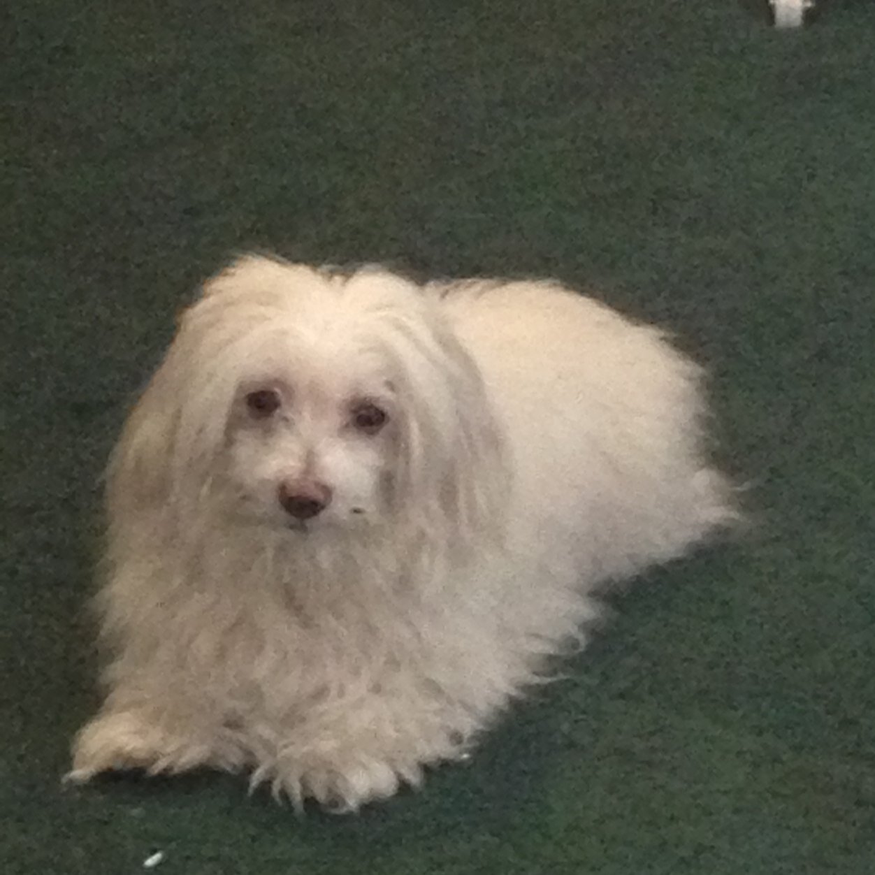 Cmramirezz's profile picture. 