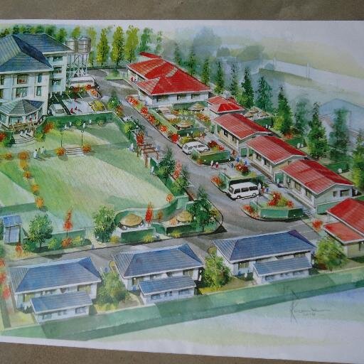 sunorthwesternr's profile picture. 