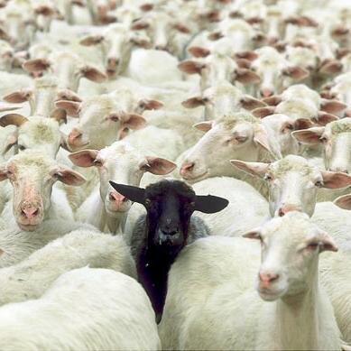 OGDIEGOBROWN's profile picture. HIP-HOP Collective/ HOSTS- CRAPPY AWESOME PODCAST- http://t.co/Sqxfxu5HgE