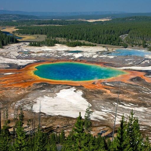 SunnyZhang52's profile picture. 