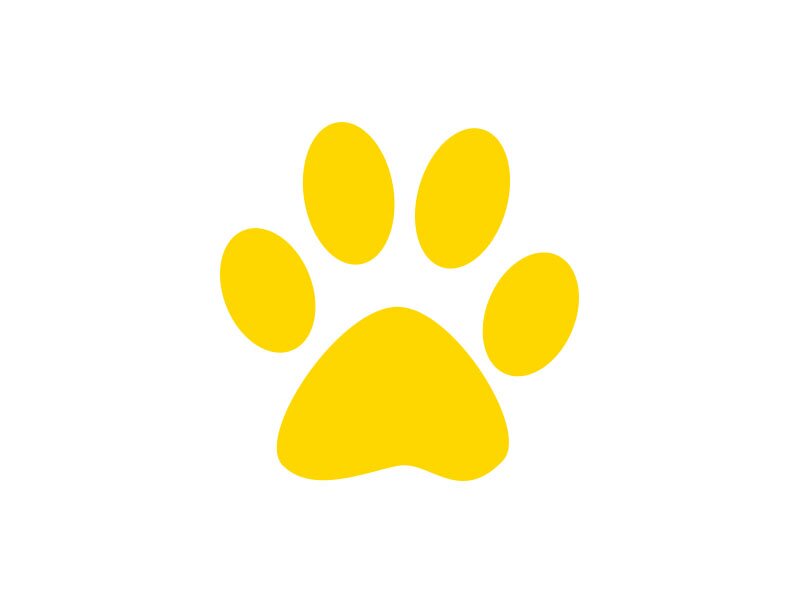 Exploring the possibility of a creating a curated crowdspeaking site dedicated to dog product inventors. From @CanineCrowd