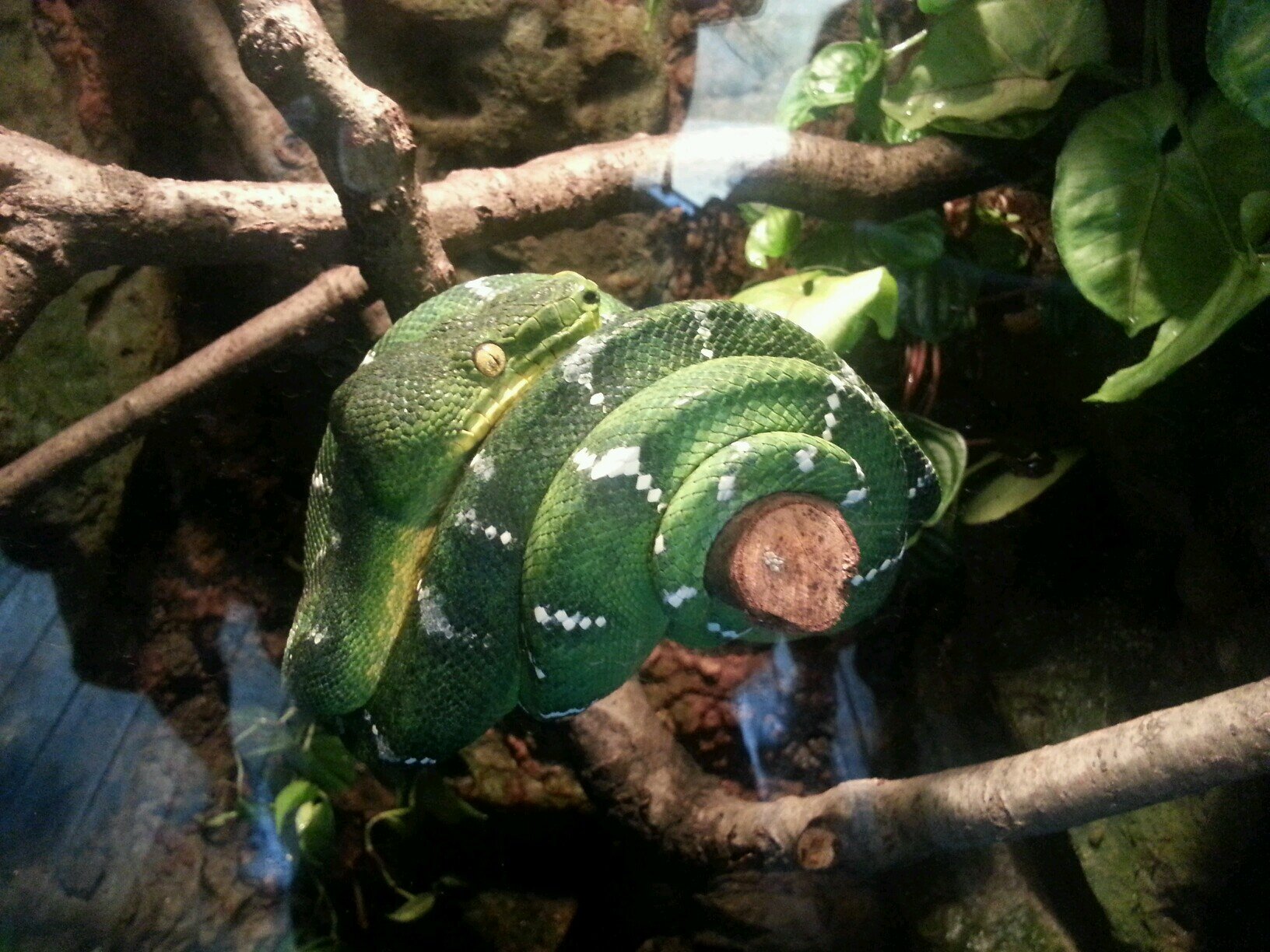 kissytinkabell's profile picture. suck it.