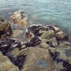 wintersea92's profile picture. 