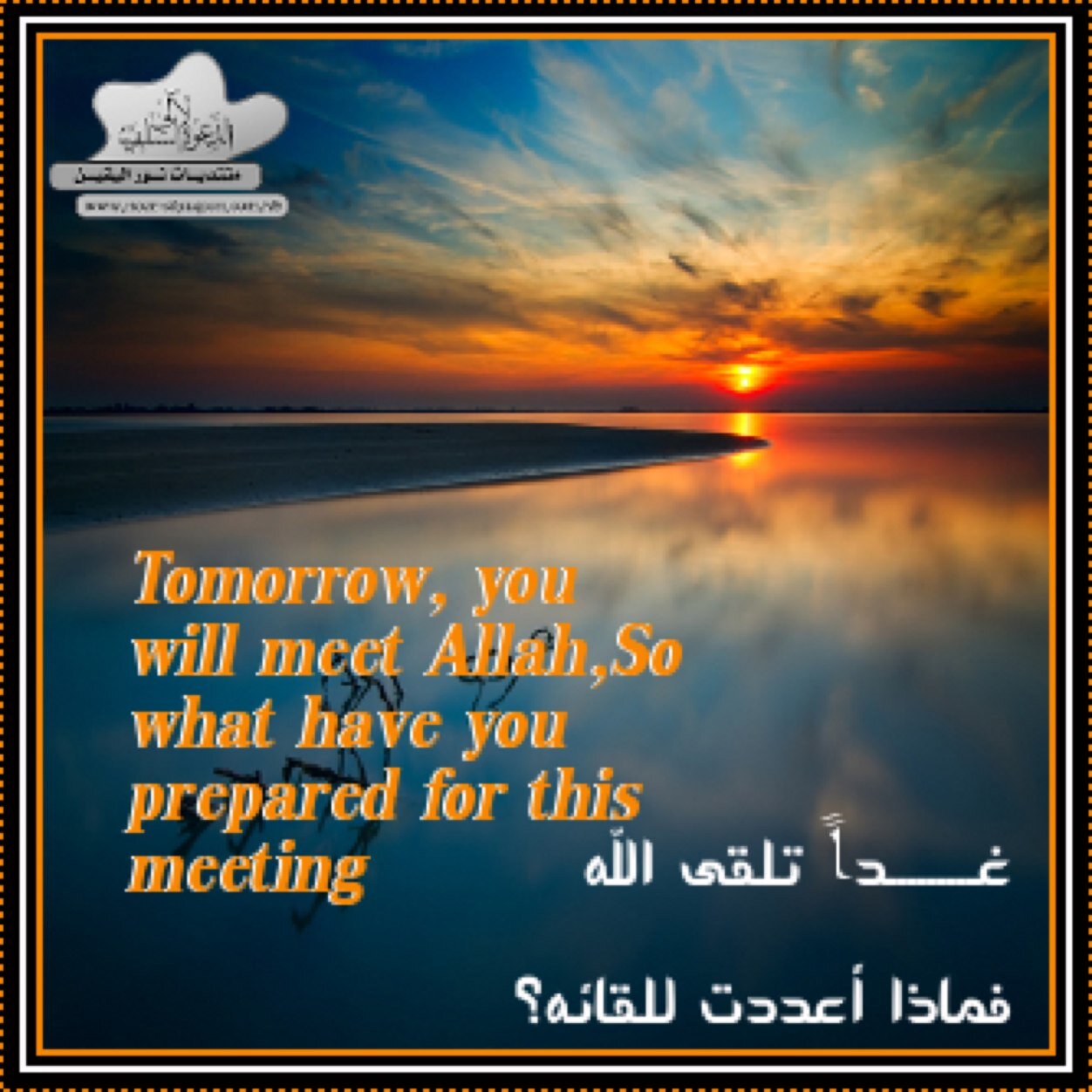 2001_wer's profile picture. 