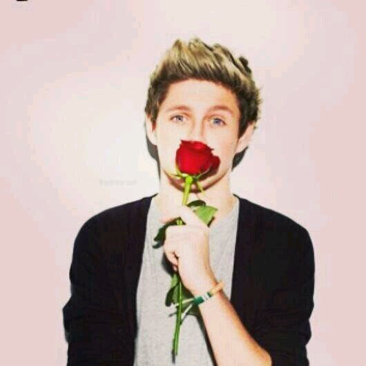 NiallDream13's profile picture. I say my princess is on her way i have to wait