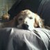 Cathy Hawley (@chaw333hawley) Twitter profile photo