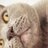 灰猫（スチームぼうや）のアイコン
