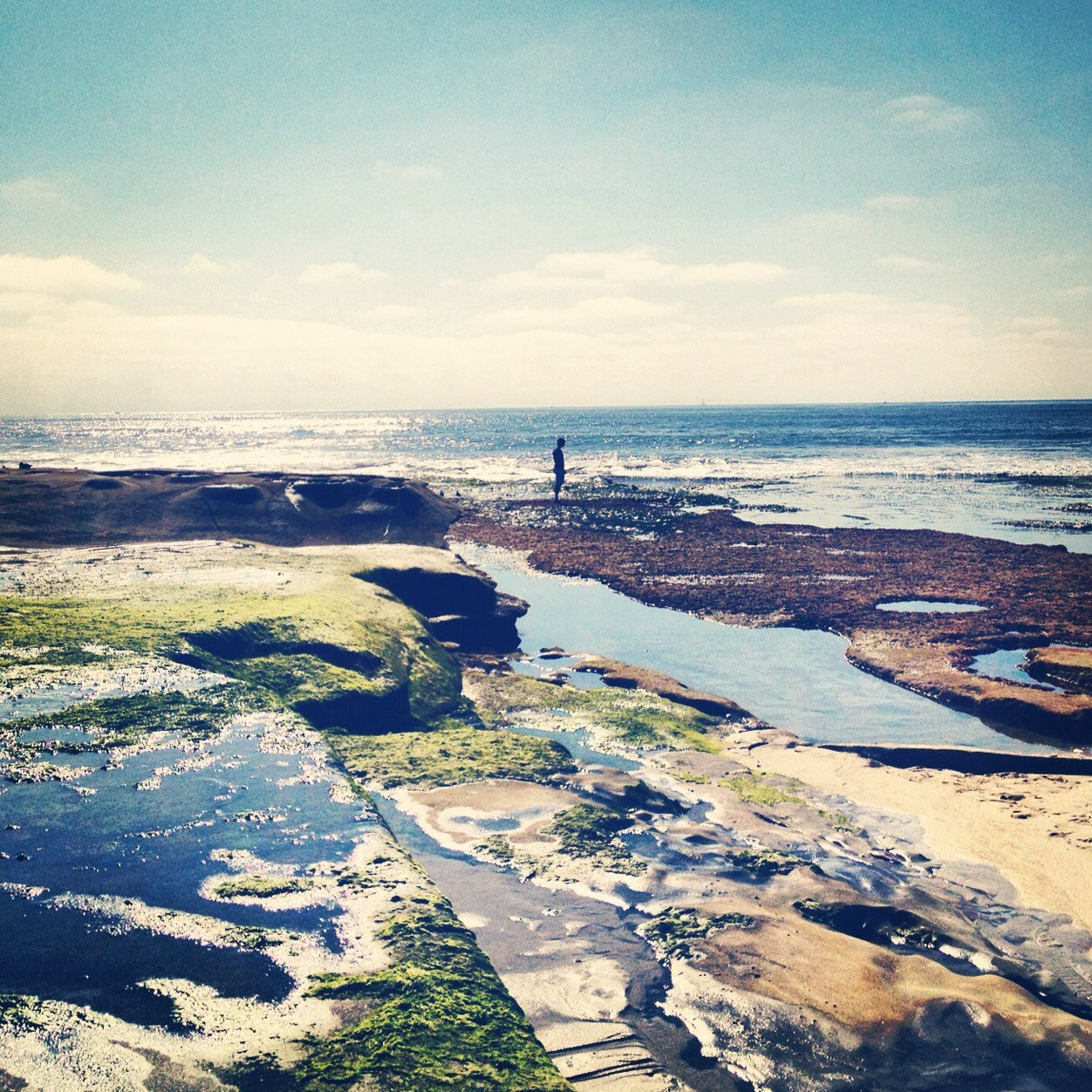 minmax246's profile picture. 