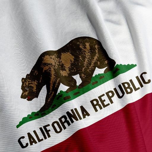Cal_Republic's profile picture. California Republic is a Political Activist group leading the fight for real demanded change.