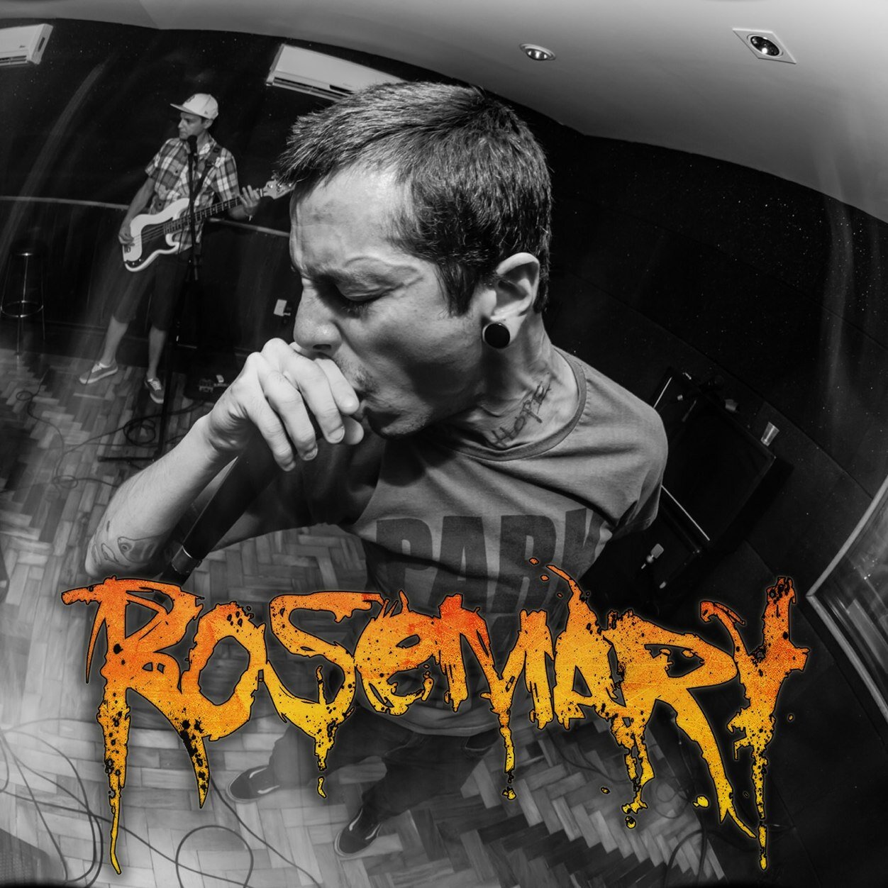 bandarosemary's profile picture. 