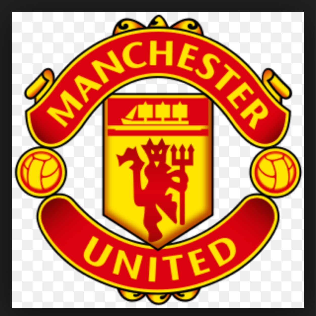 Sports fanatic ...United are the team for me...