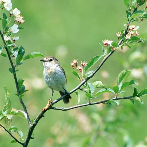 profedesanitat's profile picture. 