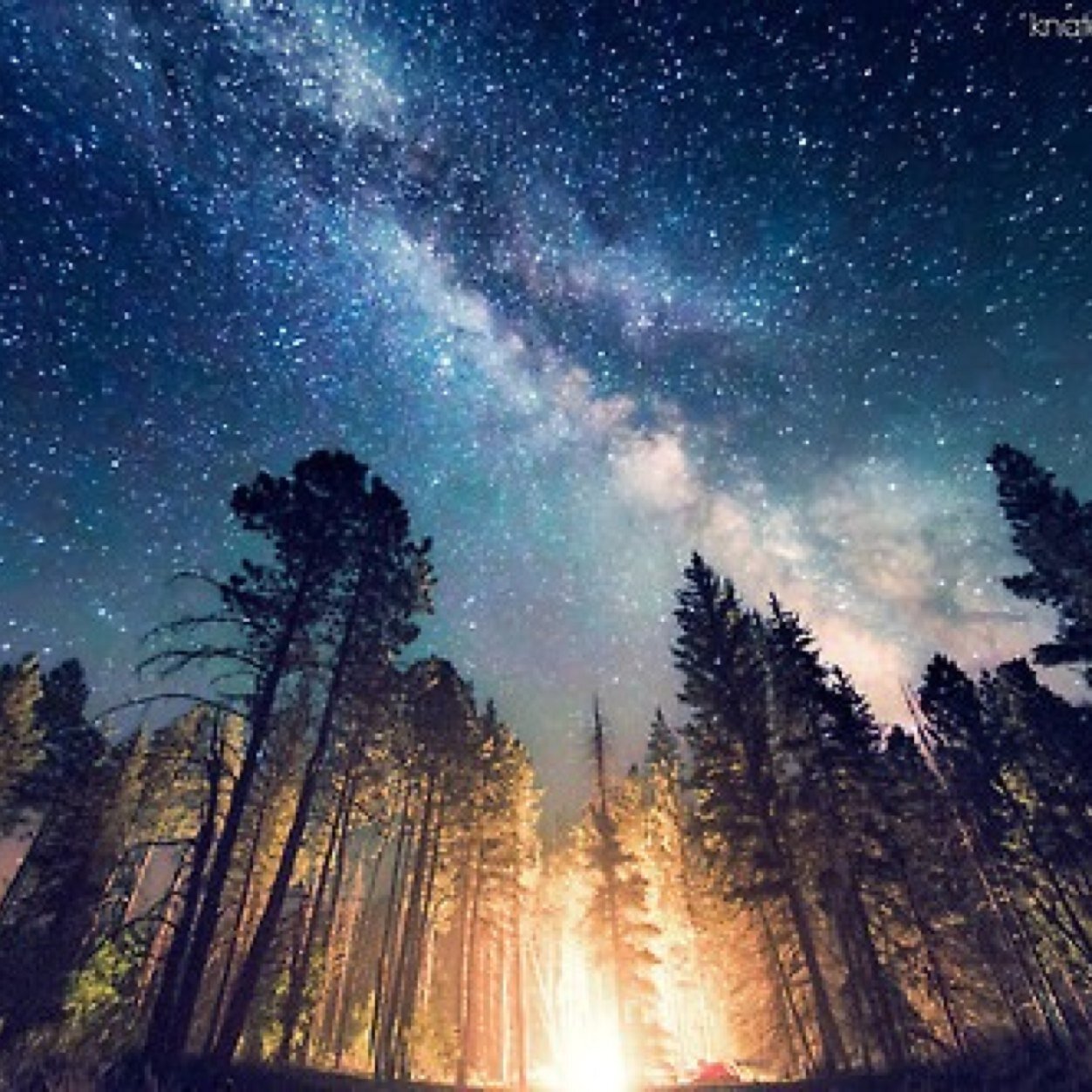 JUSTFABANDHOT's profile picture. 