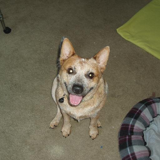 owensnan69's profile picture. 