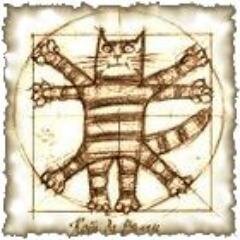 kotdavinci14's profile picture. 