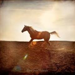 ChanYiRong's profile picture. 