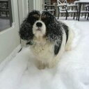 Matthew Mancuso - @themancusos - Twitter