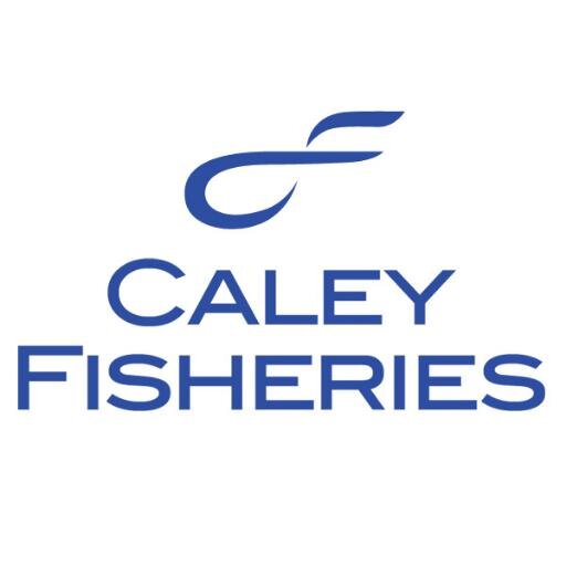 Caley Fisheries supplies prime quality wholesome Scottish seafish from sustainable stocks sourced in the crystal clear Northern Waters.