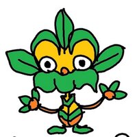 沖縄移住者 (@miu_okinawa) 's Twitter Profile Photo