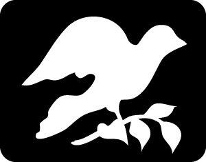 Altruist outlook of a hopeful believer; advocate; earth-lover; communer; community activist. Let's: share peace, not war; make a better world for all.