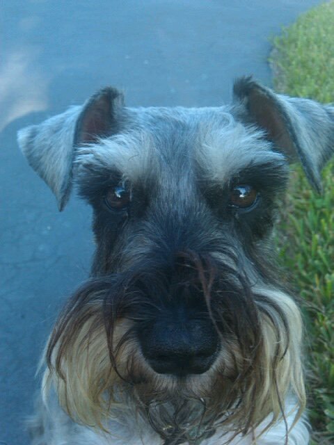 663954's profile picture. works for a living, living to work. Believe's in Unions, strong advocate for equal rights, separation of Church and State! Womens rights , animals rights!