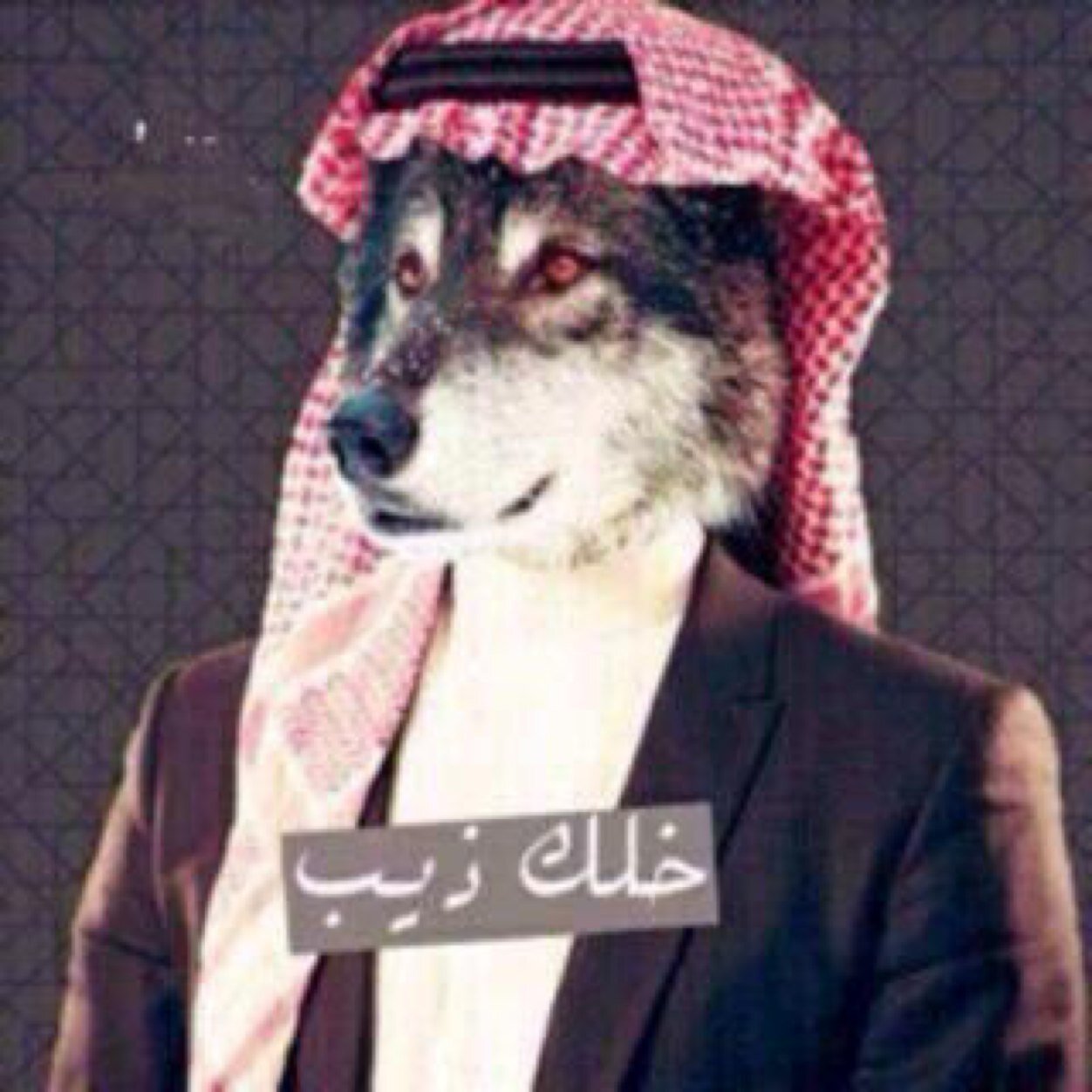ادور الـطيب واحـشمه واخـاويـه ولا الـتفت لـهل الـردى والنميمـه ومن لايقدر خوتي ويش أبي فيه فـرقـاه عـن عـيني غنـاه وغـنيمـه