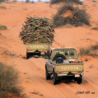 ‏‏سُبْحَانَ اللَّهِ وَبِحَمْدِهِ ، سُبْحَانَ اللَّهِ الْعَظِيم